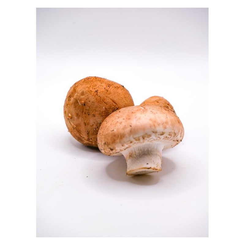 Champignons de Paris brun bio (CoopB) /kg