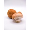 Champignons de Paris brun bio (CoopB) /kg