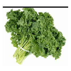 Chou Kale (FBrie) / kg