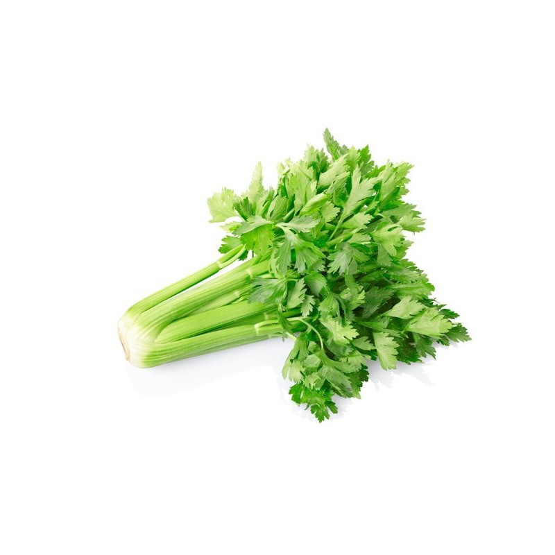 Céleri branche bio (FBrie) /kg