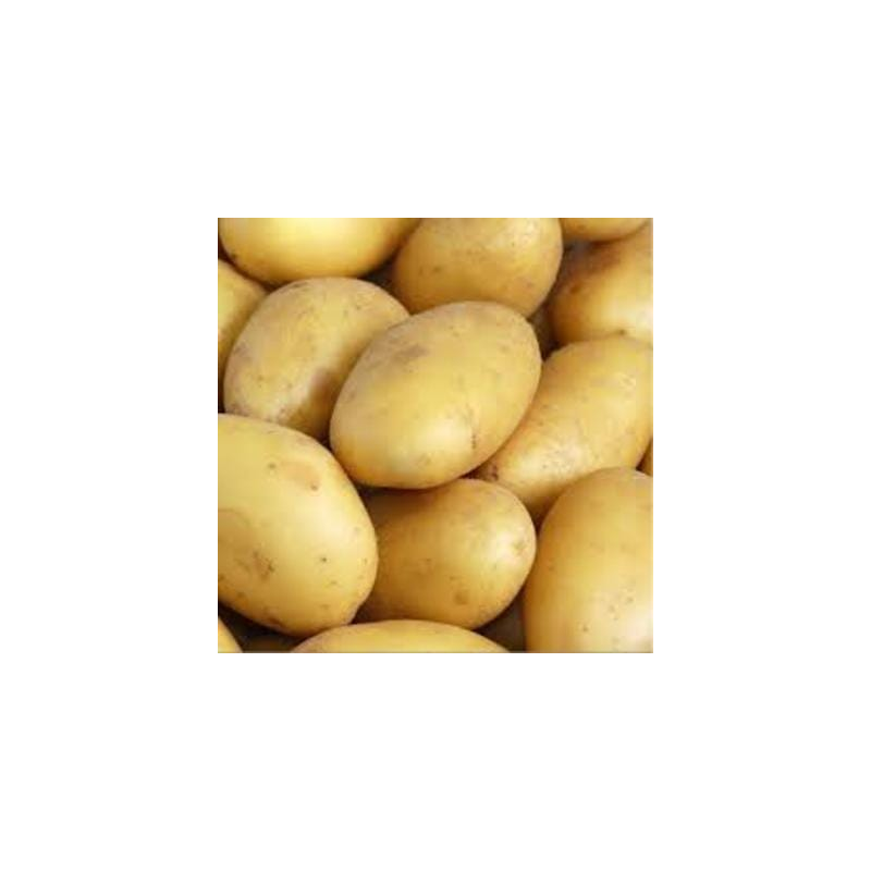 PdT Charlotte (FBrie) /kg