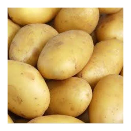 PdT Charlotte (FBrie) /kg