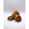Champignon Shiitaké bio (CoopB) /kg
